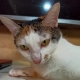 POWinator_01