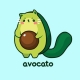 Avocadoᴷᵁᵀᴷᴵᵀ